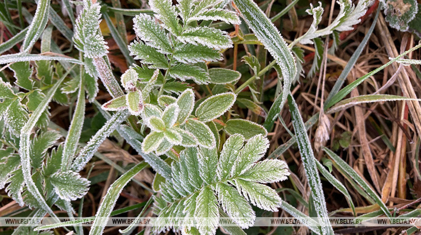 До +17°С ожидается в Беларуси 10 октября