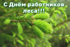 Уважаемые работники лесного хозяйства района!