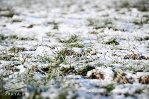 Погода в Беларуси 20 февраля: без осадков, слабый туман и от -2 °С до -13 °С