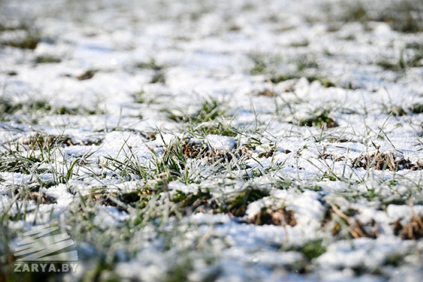 Погода в Беларуси 20 февраля: без осадков, слабый туман и от -2 °С до -13 °С