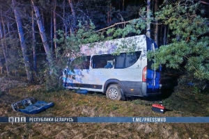 В ДТП под Вилейкой с участием микроавтобуса пострадали восемь человек