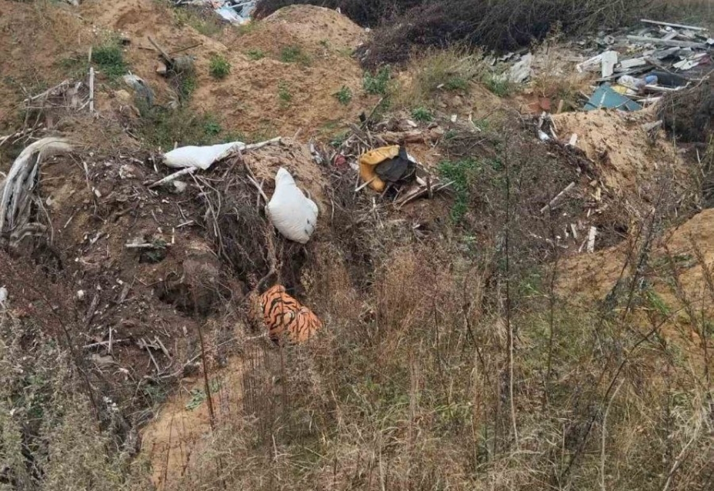 И снова про свалки - на этот раз возле агрогородка Лешница