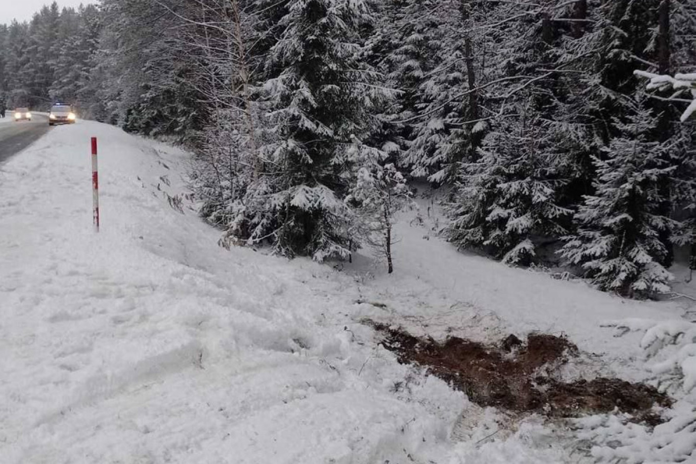 Могилевчанка попала в аварию в Березинском районе