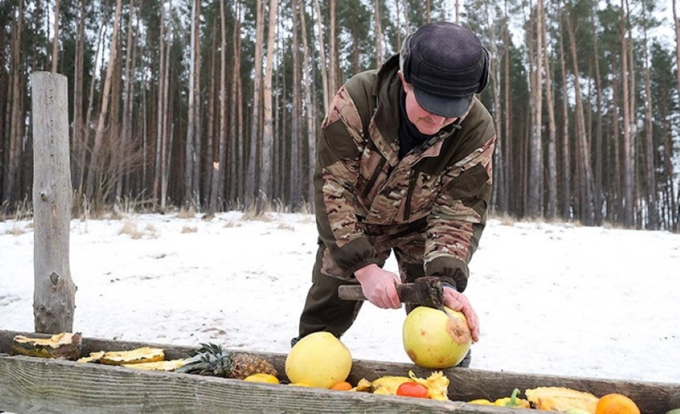 Обязанности егерей в Беларуси будут изменены с 1 января