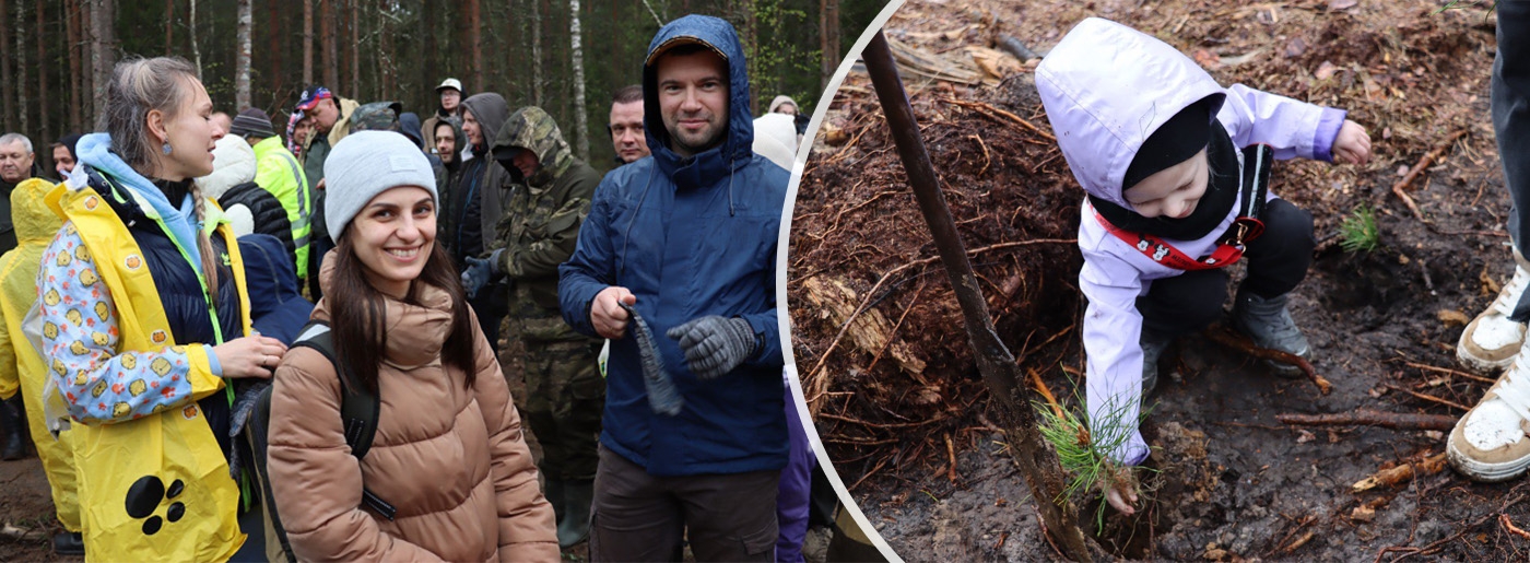 Белорусские «джиперы» посадили лес в Ушанском лесничестве