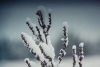 Погода в Беларуси 23 февраля: сильный снег и от -10 °С до +5 °С