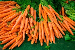 Почему морковь вырастает кривой и как этого избежать