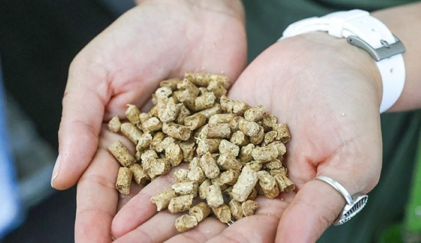 Минлесхоз изменил фиксированные розничные цены на топливные пеллеты для населения