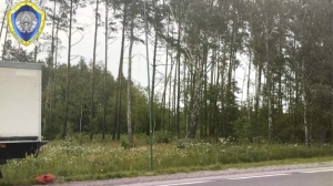 Двое мужчин погибли от удара током в Речицком районе