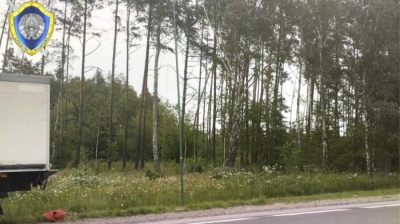 Двое мужчин погибли от удара током в Речицком районе