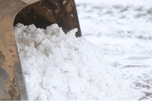 В Минской области за день вывезено более 7 тыс. куб.м убранного с территорий снега