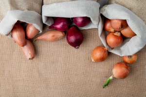 Никогда не сажайте озимый лук здесь – весь урожай сгниет до весны