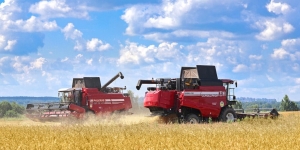 Рациональное зерно и хозяйственный подход. Почему ­­Президент в вопросе уборки урожая настоятельно требует от аграриев качества