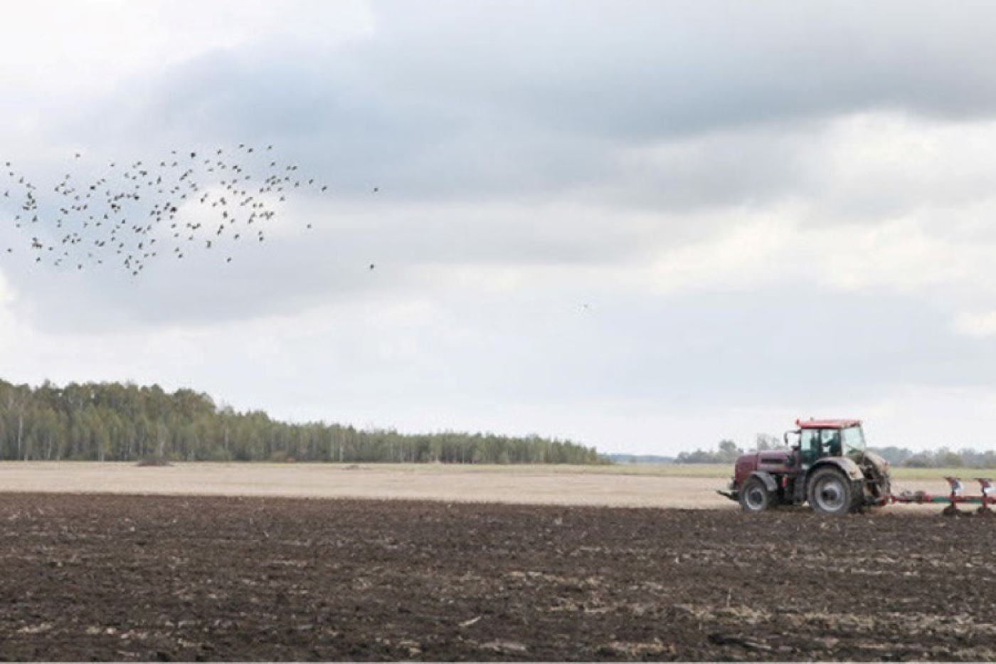 В Беларуси поднято зяби на площади почти 1,5 млн гектаров