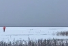 Работники МЧС спасли мужчину на озере в Городокском районе