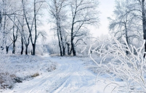 Морозы усилятся: погода с 13 по 18 января готовит белорусам новые сюрпризы