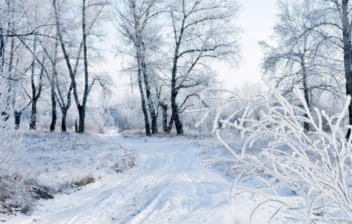 Морозы усилятся: погода с 13 по 18 января готовит белорусам новые сюрпризы