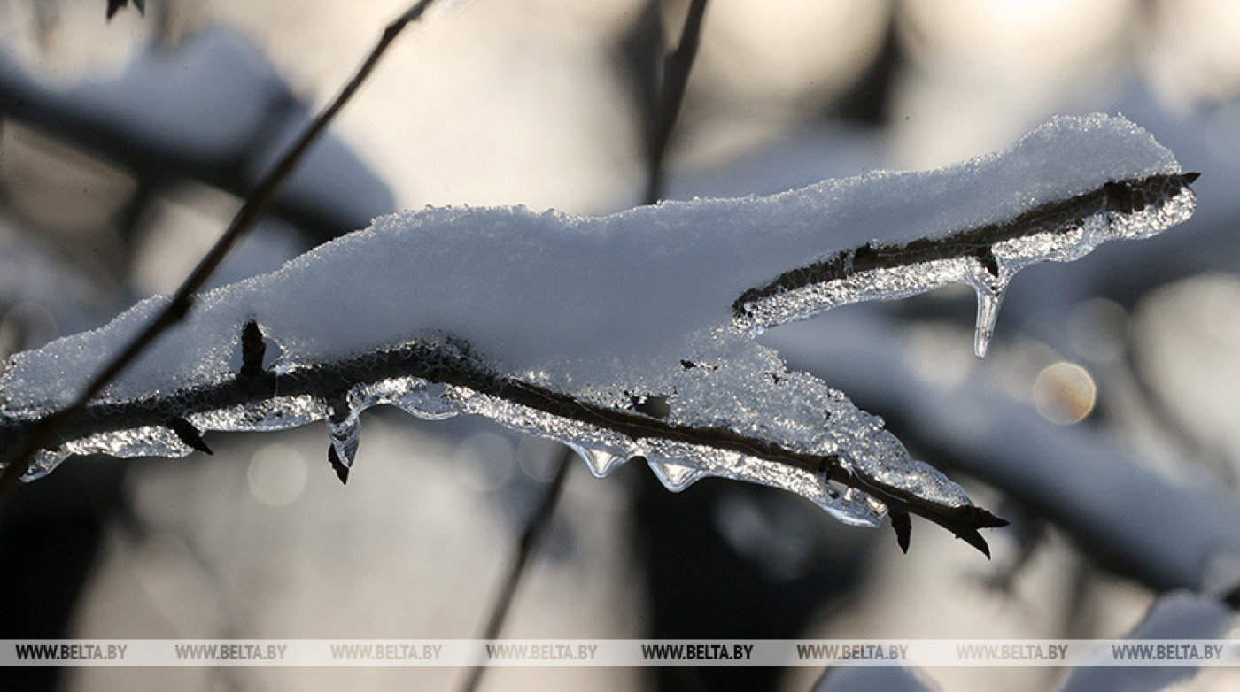 Гололедицу на дорогах и до -9°С днем обещают синоптики 5 декабря