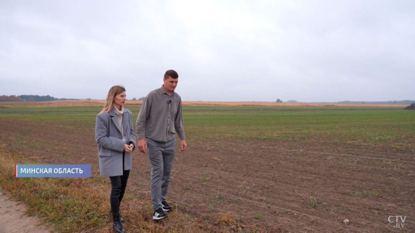 Рентабельность таких земель – до 16 %. Мелиорация спасает площади белорусских аграриев