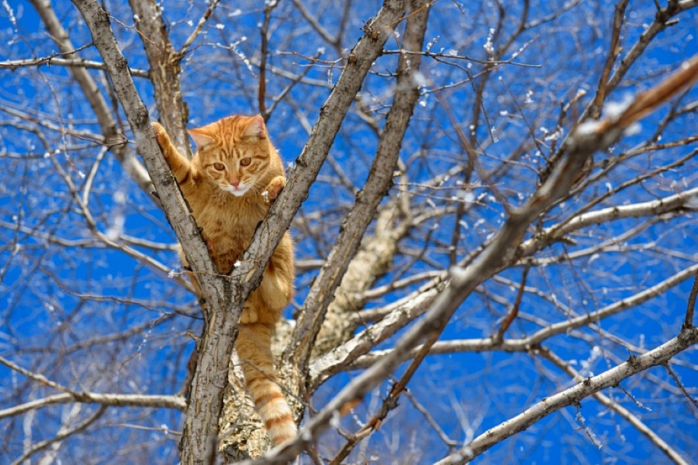 Белорусы скоро почувствуют дыхание весны: Рябов рассказал о феврале