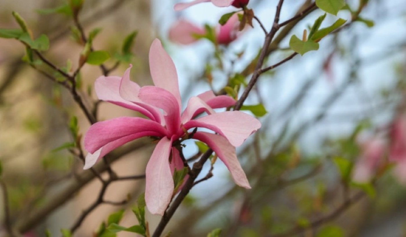 Будет ли солнце на больших выходных? Рябов о погоде на неделю с 28 апреля по 4 мая