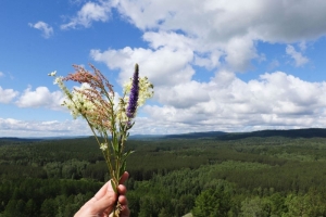 До +28°С прогнозируют сегодня в Беларуси