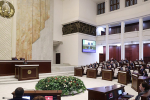 Депутаты приняли в двух чтениях законопроект о геноциде белорусского народа