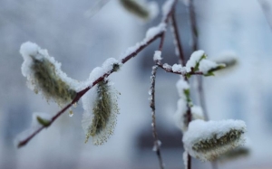 Снежная и ветреная погода ожидается в Беларуси 7 апреля