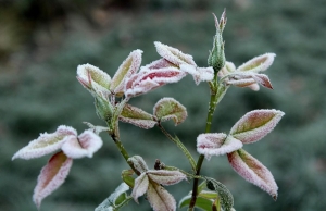 Как белорусы будут отдыхать и работать в 2026 году? Производственный календарь