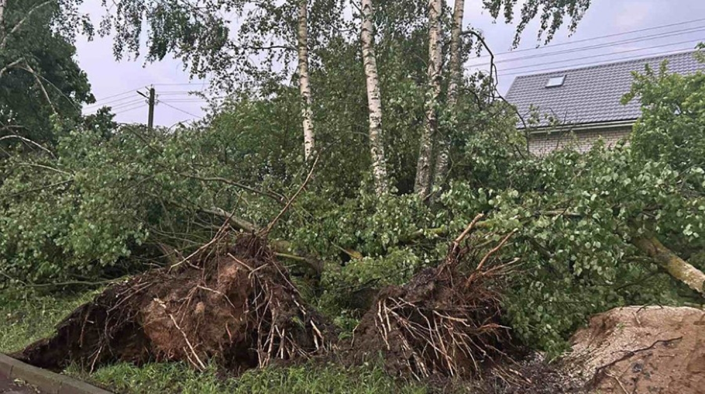 Упавшие деревья и обесточенные деревни. В Минской области устраняют последствия вчерашней непогоды