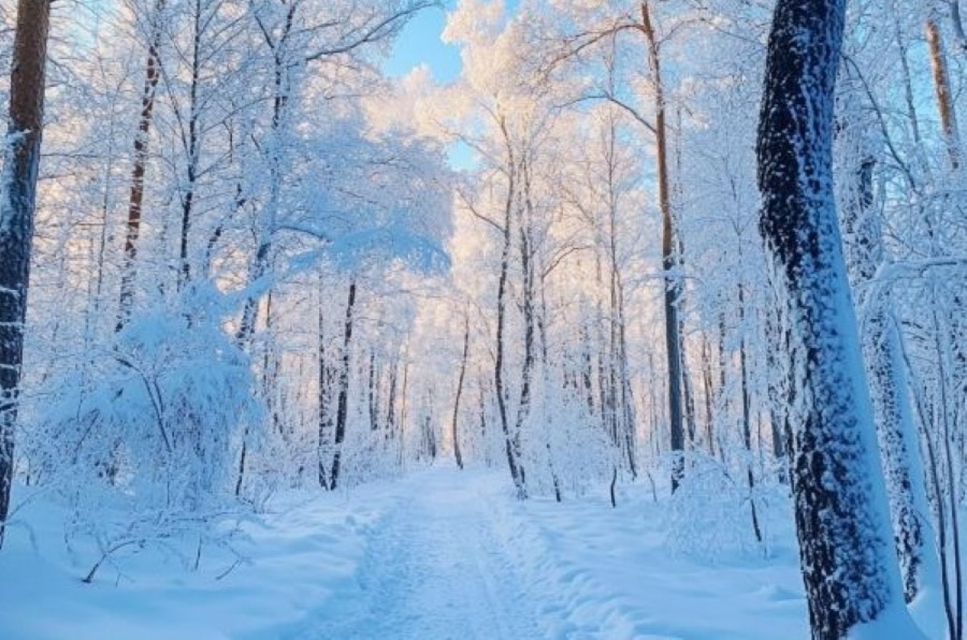 Народный календарь на 6 февраля 2025: что можно и нельзя делать, приметы и праздники