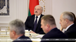 Лукашенко ждет от правительства большей смелости и положительно оценил перевыполнение поручения по ценам