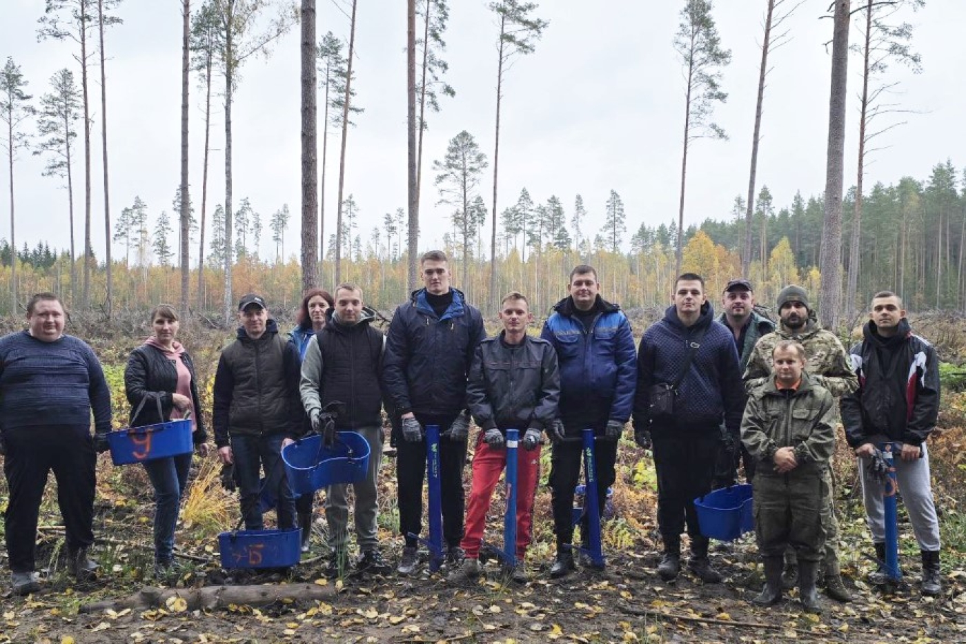 Лес возрождается руками охрановцев