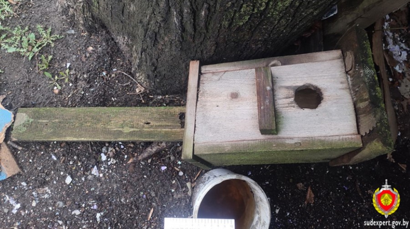 В Лунинце упавший от ветра скворечник сломал мужчине ребро