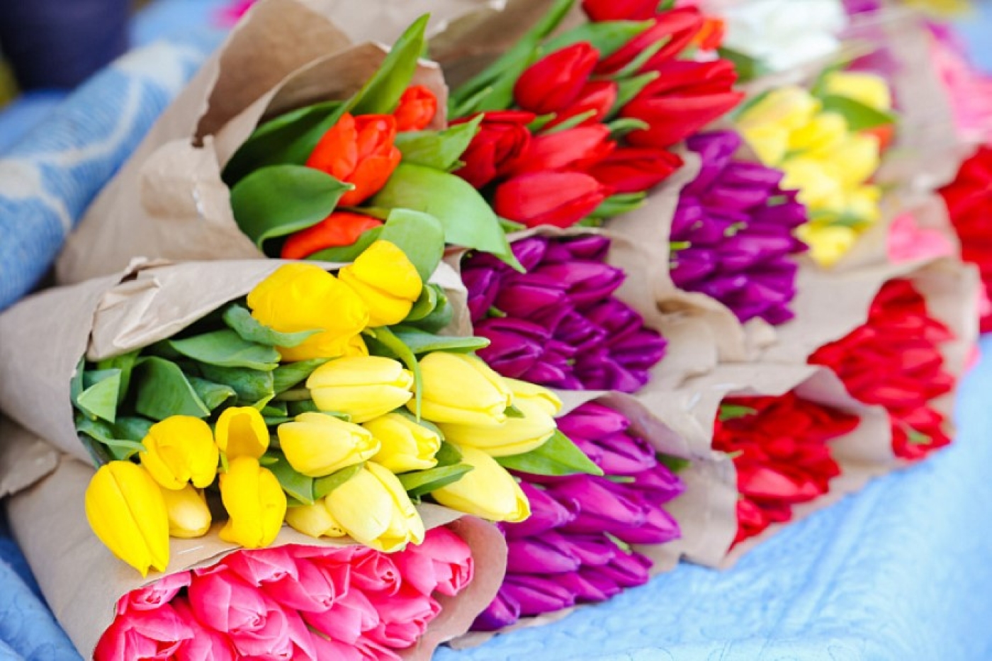 Продажу цветов в Беларуси берут под контроль – куда жаловаться на цены