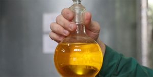 Почему рапсовое масло нужно включить в ежедневный рацион? Эксперты привели убедительные аргументы