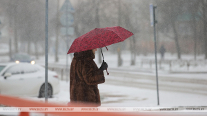 Мокрый снег, метель, гололед: оранжевый уровень опасности объявлен в Беларуси на 15 декабря
