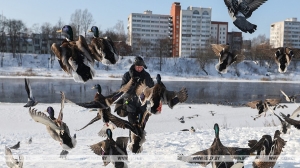 Какой толщины лед на реках и озерах Беларуси, рассказали гидрологи