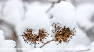 Снег, гололедица и усиление морозов. Синоптики о погоде на 16-21 декабря