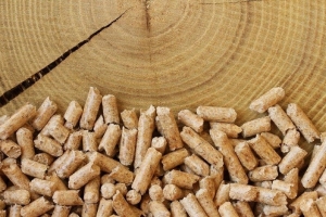Минлесхоз скорректировал отпускные цены на пеллеты для отдельных потребителей
