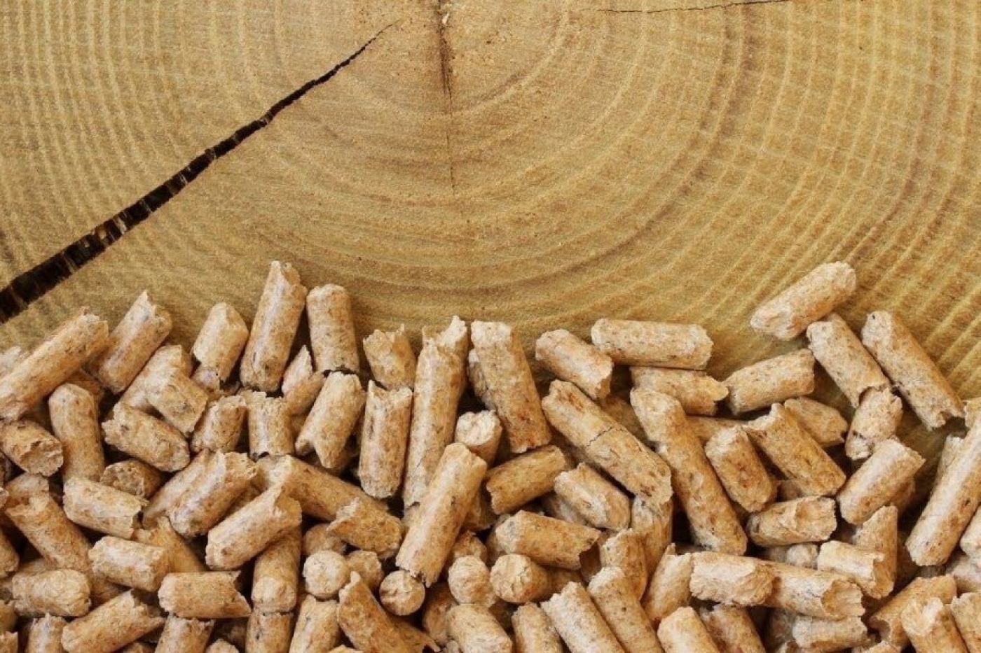 Минлесхоз скорректировал отпускные цены на пеллеты для отдельных потребителей