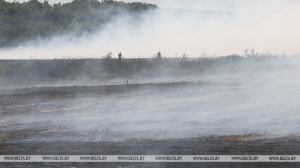 В Беларуси за сутки потушены 4 лесных и 2 торфяных пожара