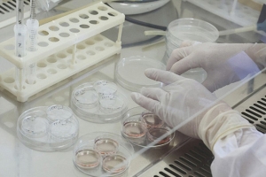 Сделать так, как хочет женщина. Лукашенко пообещал максимально упростить доступ к ЭКО