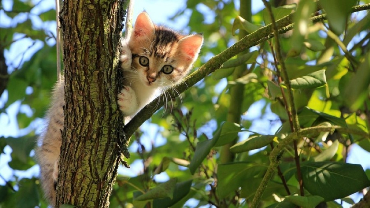 Погода в Беларуси 5 августа: кратковременные дожди, грозы и до +28 °С