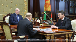 &quot;Решение должно быть взвешенным&quot;. Лукашенко о необходимости создания нового регулятора в цифровой сфере