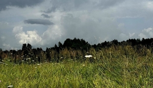 Непогода не сдается. Грозы и ливни ожидаются в Беларуси 20 июля