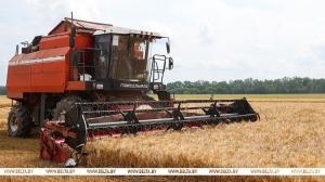 Белорусские аграрии намолотили 4 млн тонн зерна