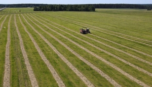 В Минской области готовятся к снятию трав первого укоса