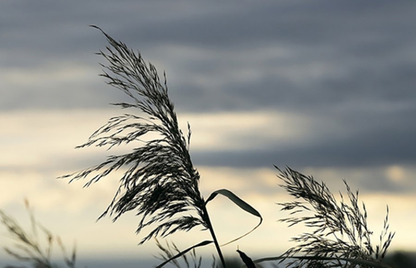 Погода 26 мая: дожди, местами грозы и до +24 °С