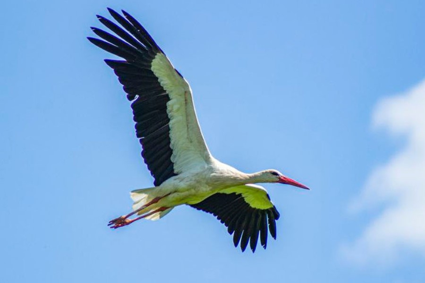 Погода в Беларуси в выходные: без осадков и от -2 °С ночью до +17 °С днем